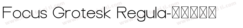 Focus Grotesk Regula字体转换